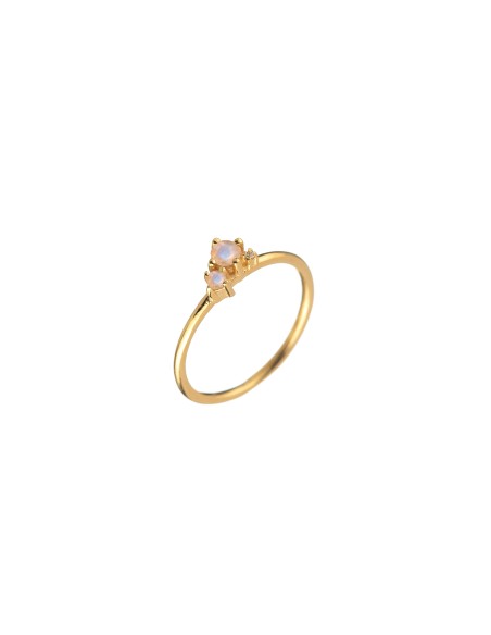 Anillo Mineral - Bañado Oro