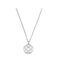 Collar Acero - Panot 12 mm - 38+5 cm - Color Oro y Acero 2