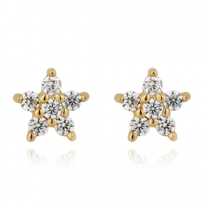 Pendientes Circonita - Estrella 4.5mm