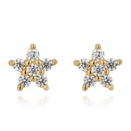 Pendientes Circonita - Estrella 4.5mm