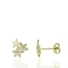 PENDIENTES ESTRELLA LISA + FLORECITAS CIRCONITAS BLANCAS 9mm