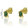 PENDIENTES TORTUGA VERDE 7,2mm PRESIÓN.