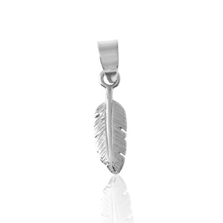 Charm Plata - Pluma 10mm