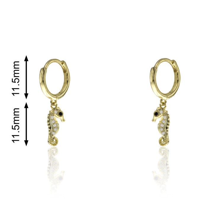 CPA0366 - CABALLO DE MAR CIRCONITAS