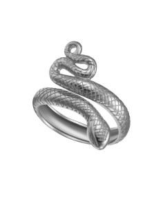 Anillo Plata - Serpiente 2