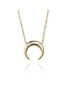 Collar Plata - Cuerno 2