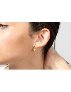 Pendientes Aro - Araña - Circonita 2