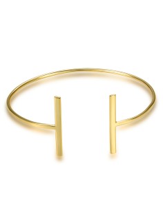 Pulsera Plata Rigida 2