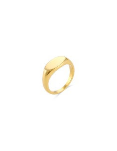 Anillo del Meñique Acero - Bañado Oro 2