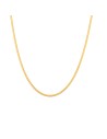 Collar Acero - 2 mm Herryingbone - 32+6 cm, 38+4 cm, 42 cm y 48 cm - Color Oro