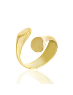 Anillo Plata - Sello 2