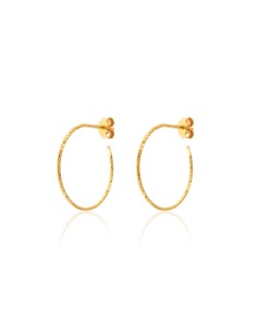 Pendientes Semi Aro 2